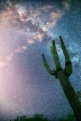 Stargazing with saguaro