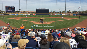 Spring Training Baseball in Peoria