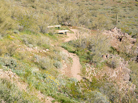 Calderwood Butte - Peoria