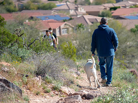 Hiking with your dog